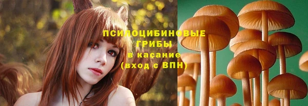сатива Абинск