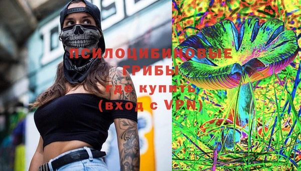 сатива Абинск