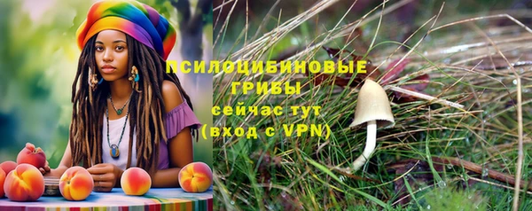 гашик Абаза