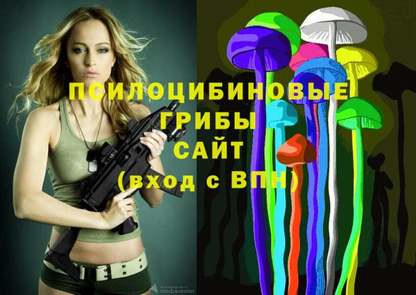 гашик Абаза