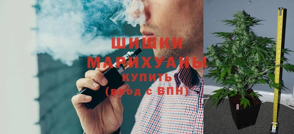 сатива Абинск