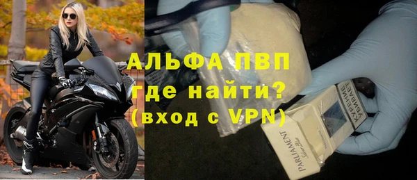 сатива Абинск