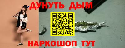spice Новодвинск