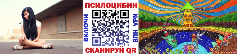 ОМГ ОМГ ссылки  Химки  дарк нет как зайти  Псилоцибиновые грибы прущие грибы 